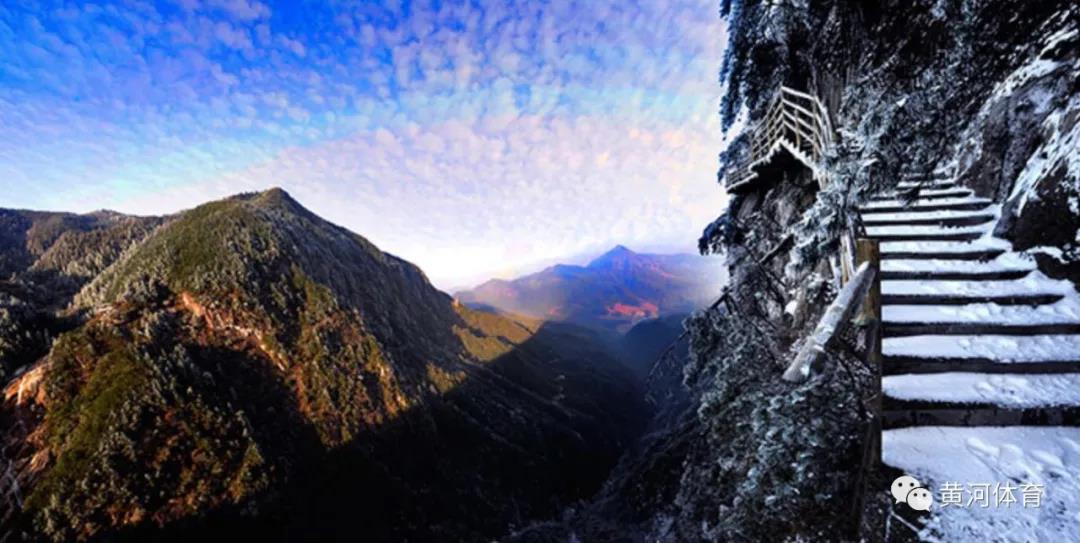 1603764395390615.jpg 8.jpg