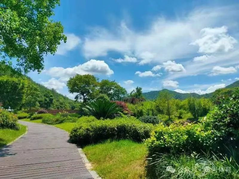 1710750038926158.jpg 1710750038926158.jpg