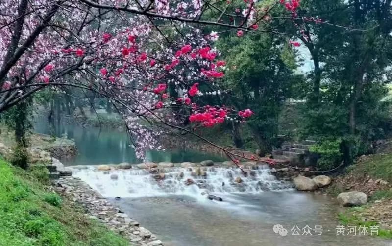 1710752089994887.jpg 1710752089994887.jpg