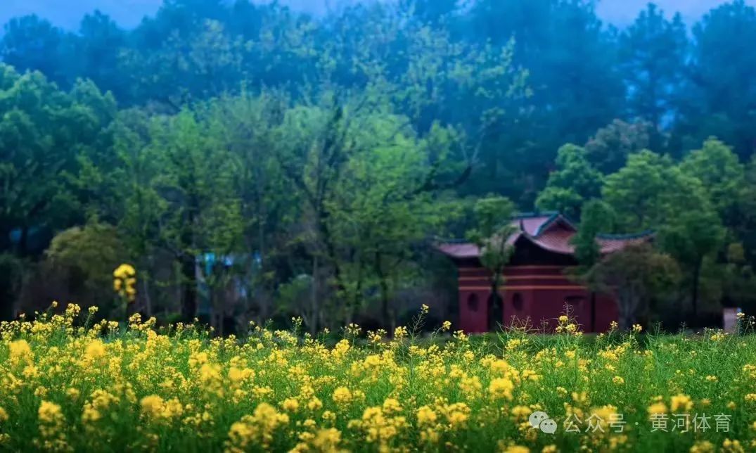 1710811096782220.jpg 640 (10).jpg