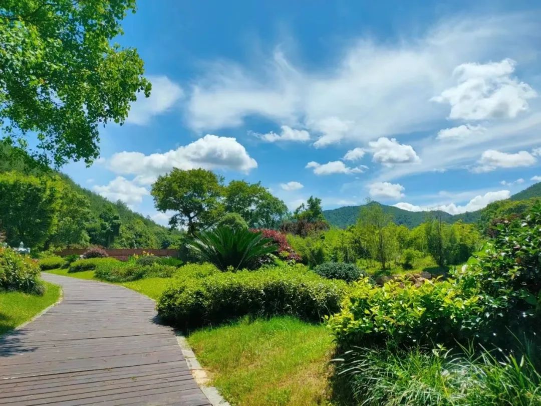 1710818240412129.jpg 640 (9).jpg