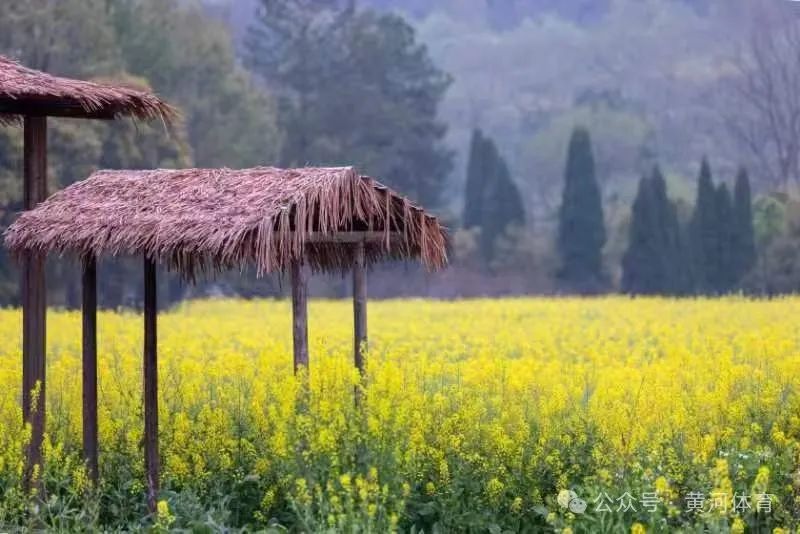 1710819357327820.jpg 640 (10).jpg