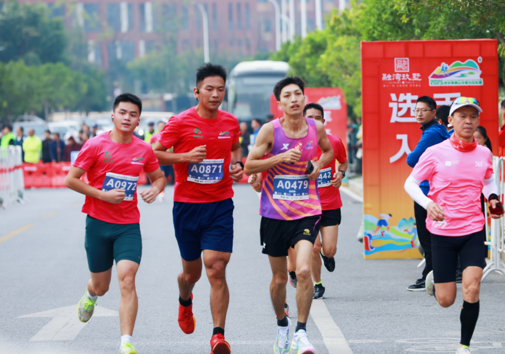 1761804726803514.png 成缩略图.png